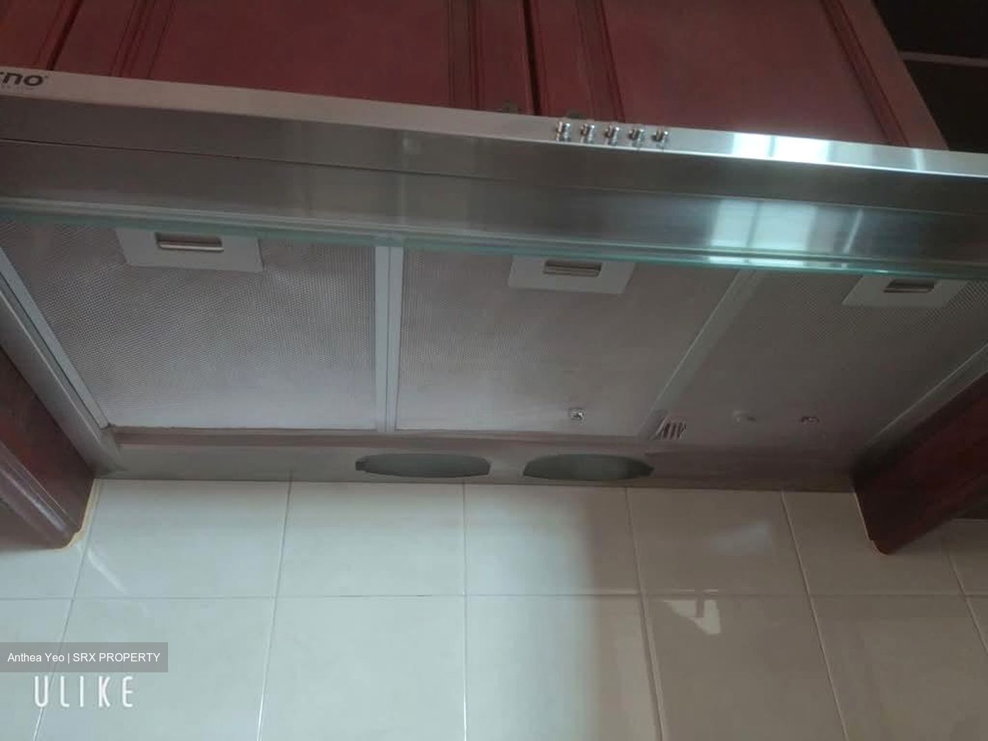 Tanglin Regency (D10), Condominium #602142371